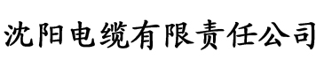 医生嗯腿开大点电缆厂logo